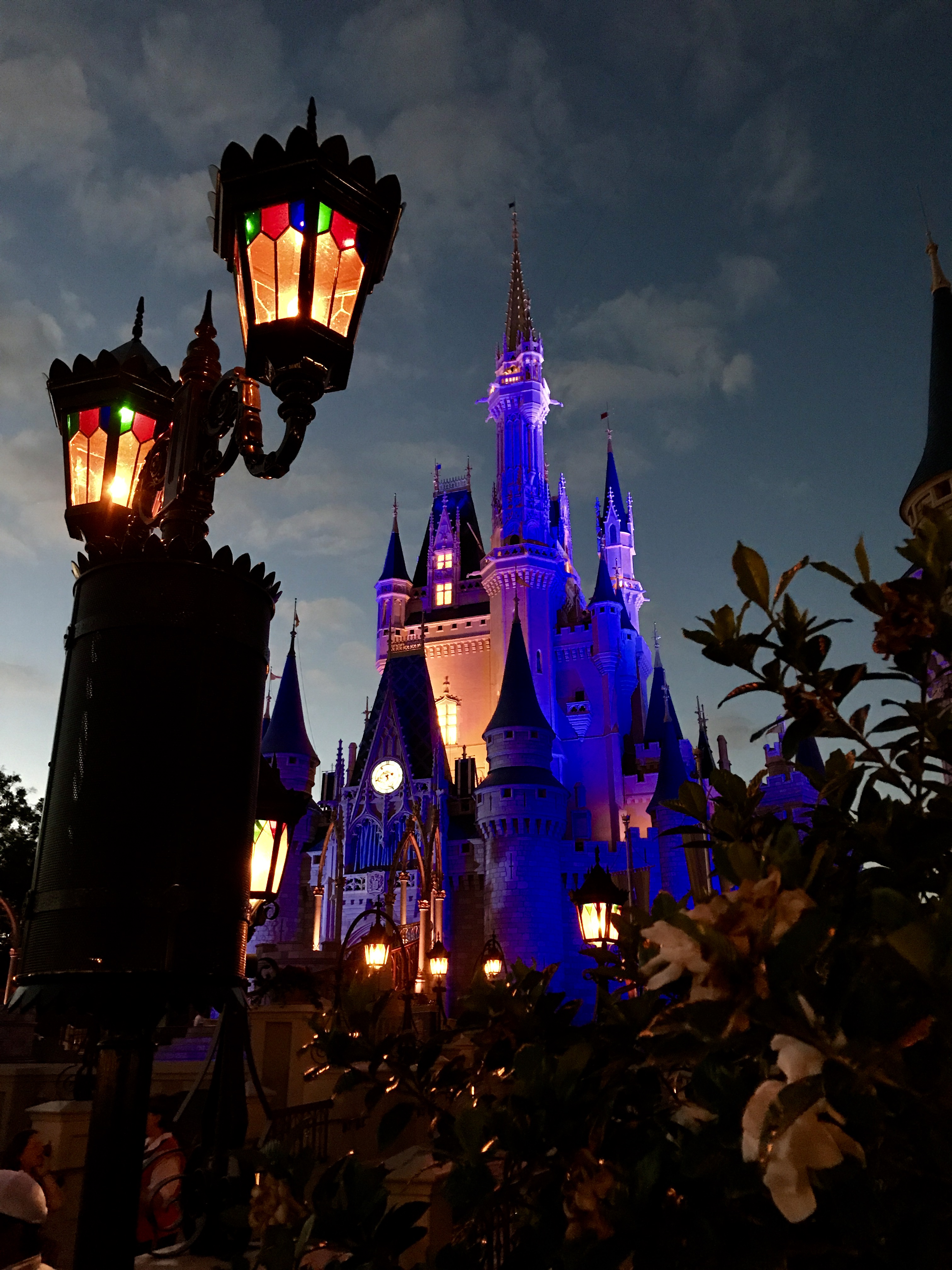 Cindarella’s Castle at Magic Kingdom Matt Elliott